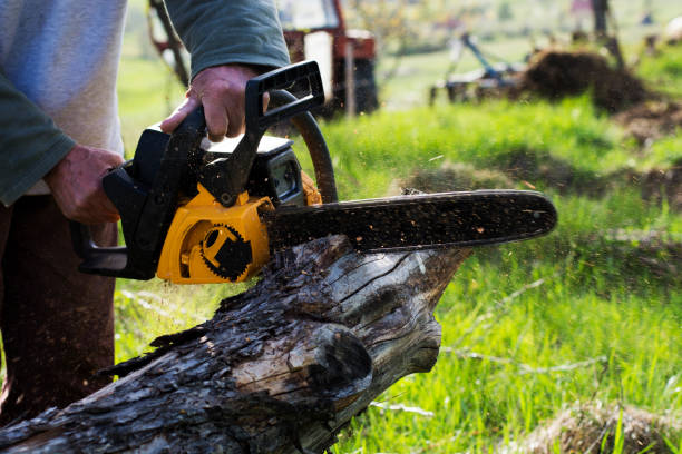 Best Seasonal Cleanup  in Washburn, WI